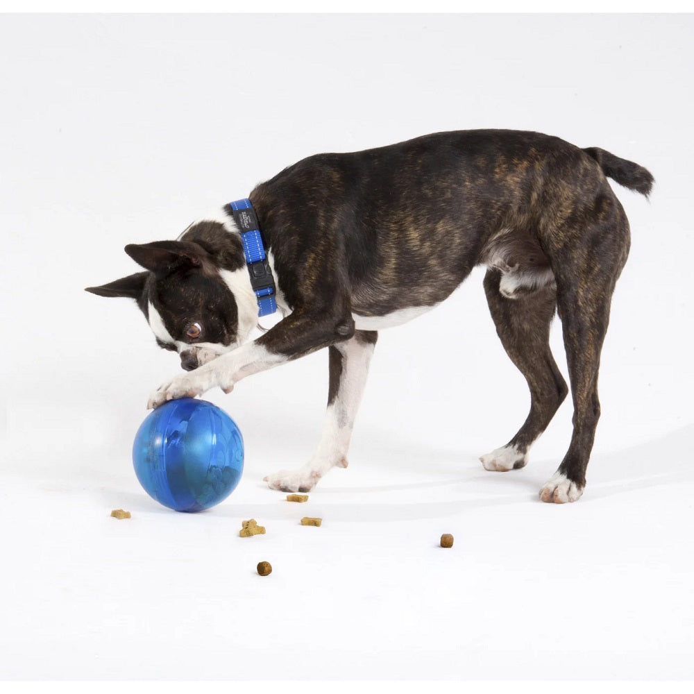 Rogz Tumbler - Treat Dispensing Toy