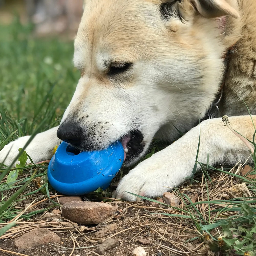 Soda Pup Spotnik Flying Saucer Treat Dispenser
