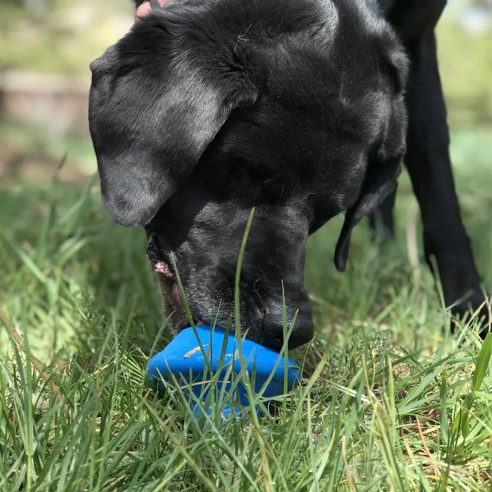 Soda Pup Spotnik Flying Saucer Treat Dispenser