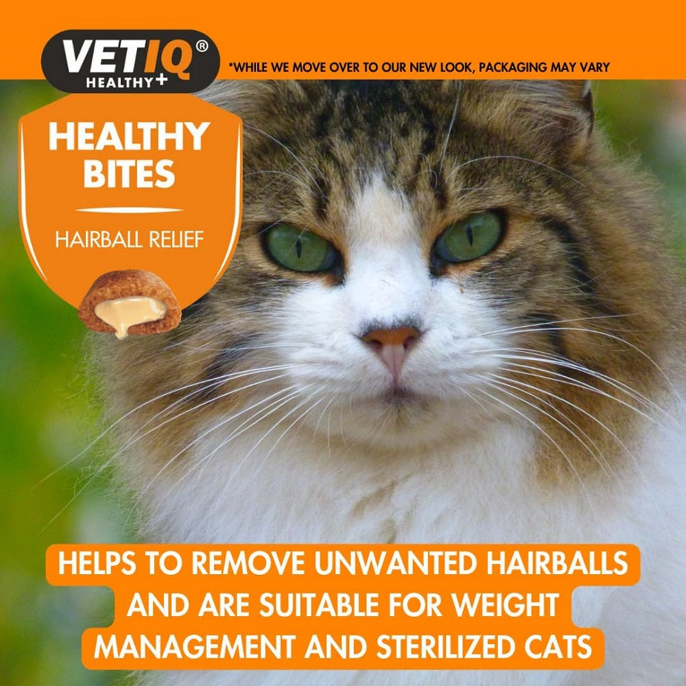VETIQ® Healthy Bites Hairball Relief