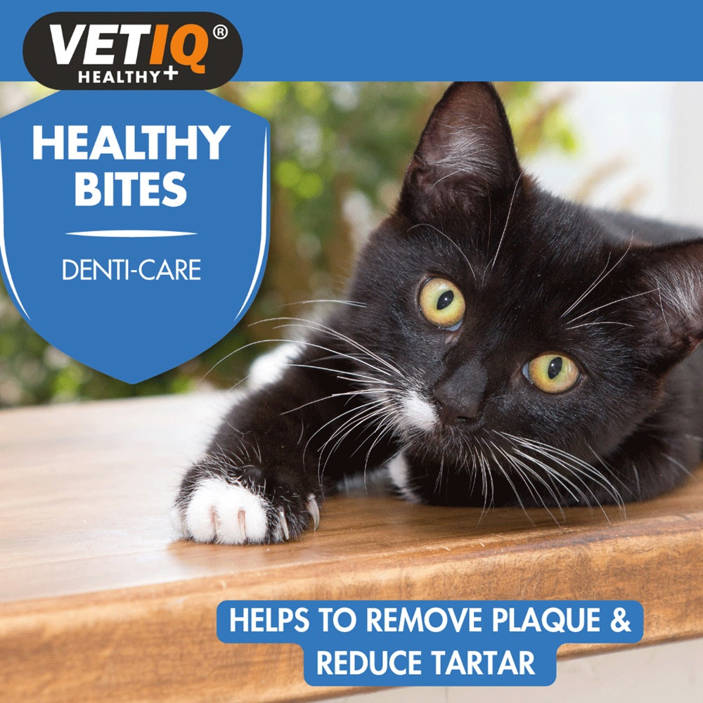 VetIQ Denti Care – Healthy Bites
