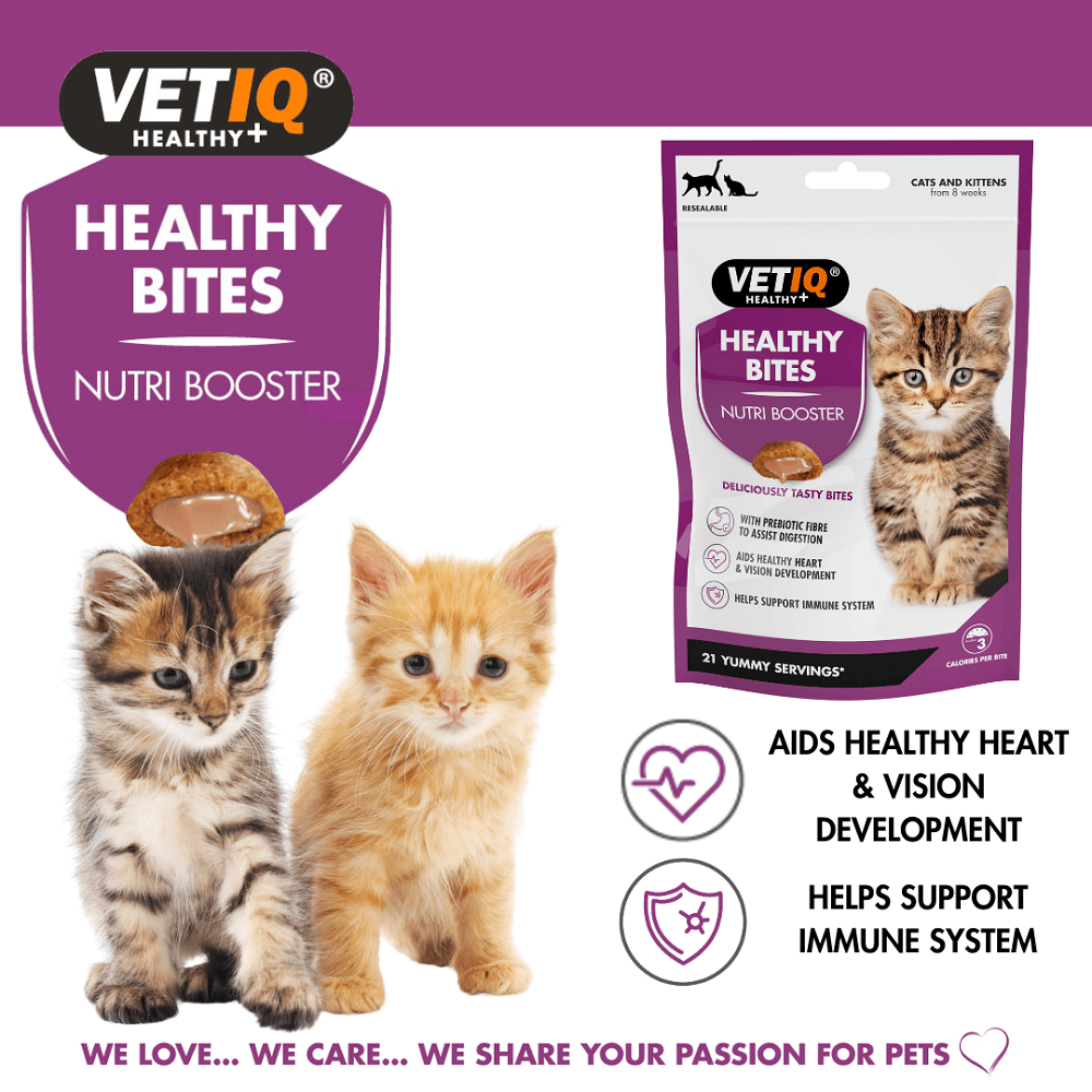 Healthy Bites Nutri Booster For Cats & Kittens
