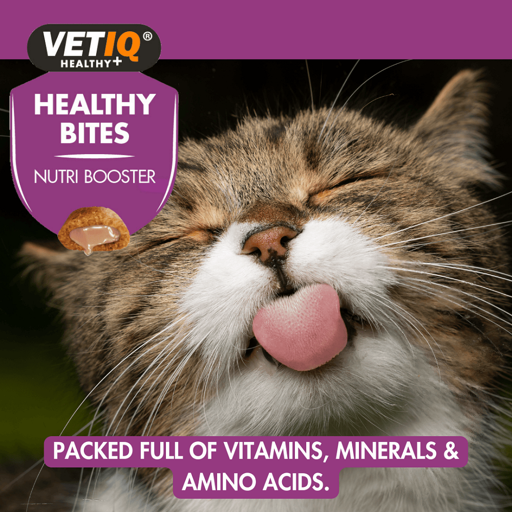 Healthy Bites Nutri Booster For Cats & Kittens