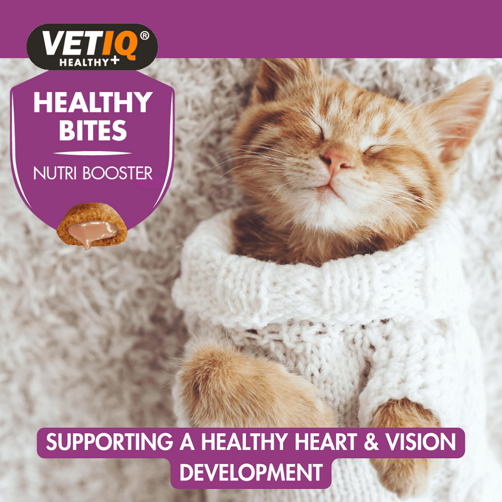 Healthy Bites Nutri Booster For Cats & Kittens