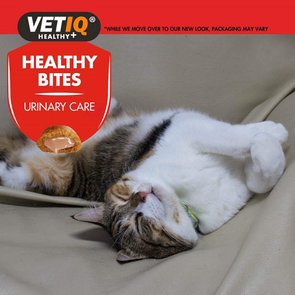 Healthy Bites Urinary Care for Cats