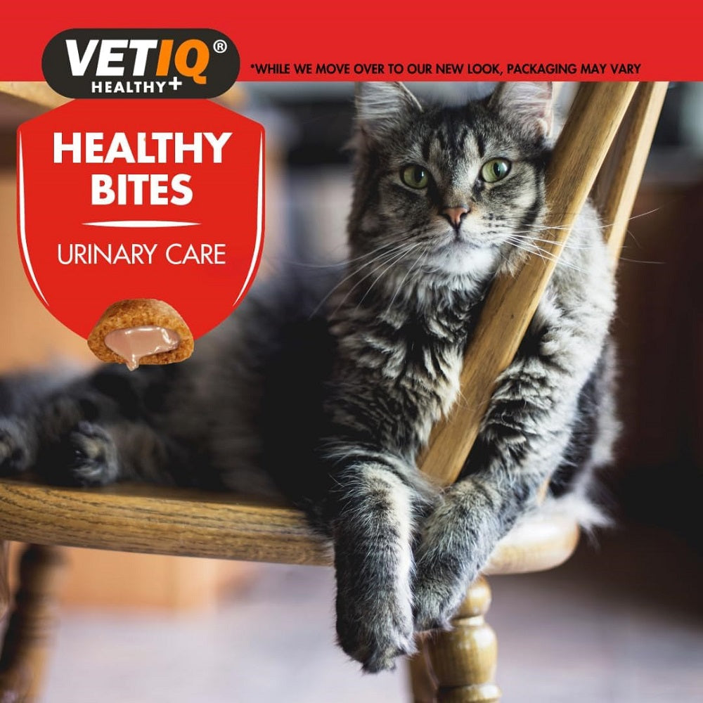 Healthy Bites Urinary Care for Cats