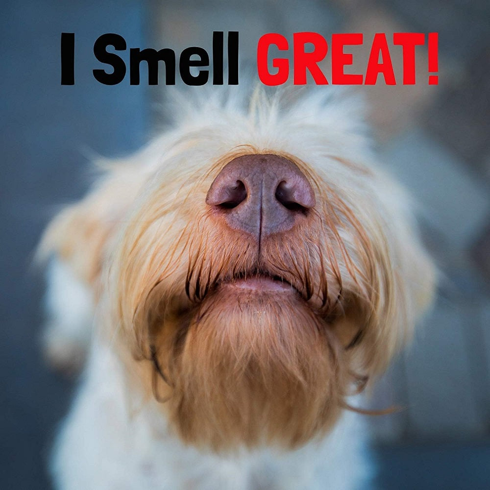 Washbar Flea And Freshen Dog Daily Spritzer 250ml