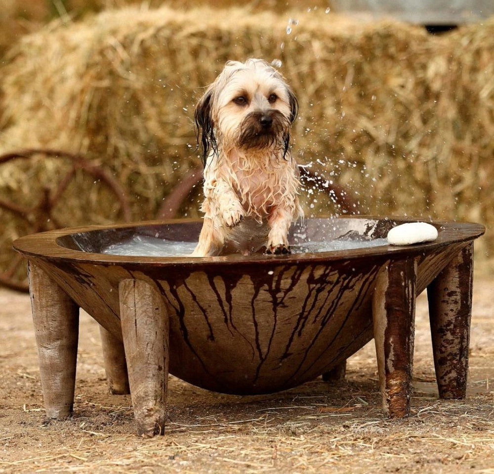 WashBar – Natural Puppy Shampoo - Argan & Lavender (250ml)