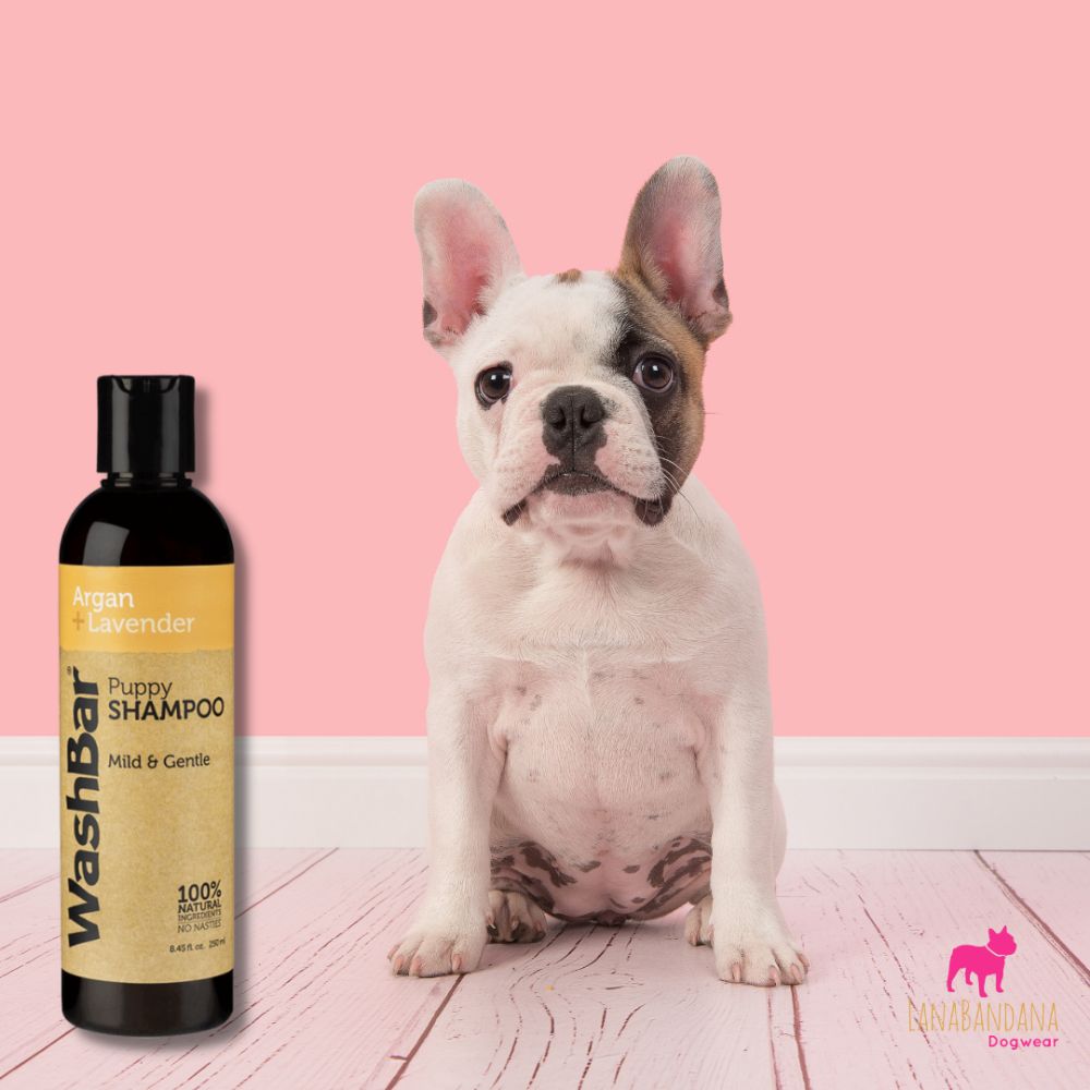 WashBar – Natural Puppy Shampoo - Argan & Lavender (250ml)