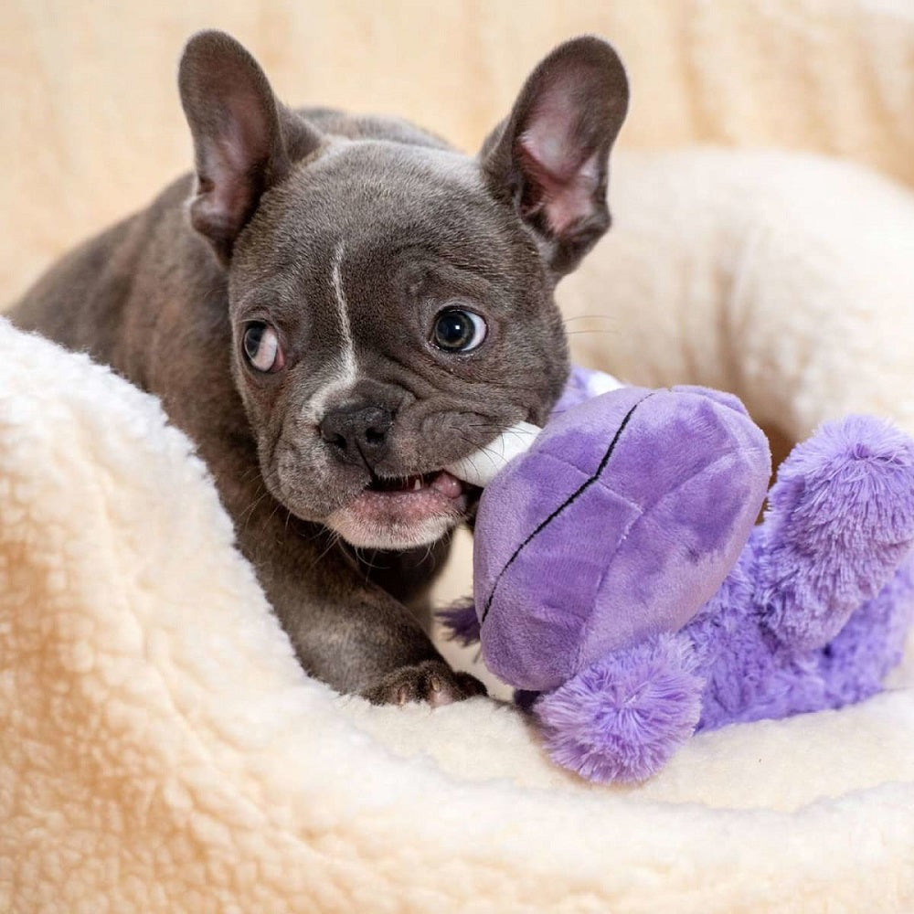 Kong Cozie Rosie Rhino