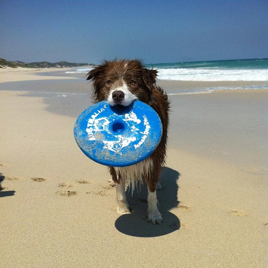 Aussie Dog "Fly…It"  (The Ultimate Frisbee for Dogs)
