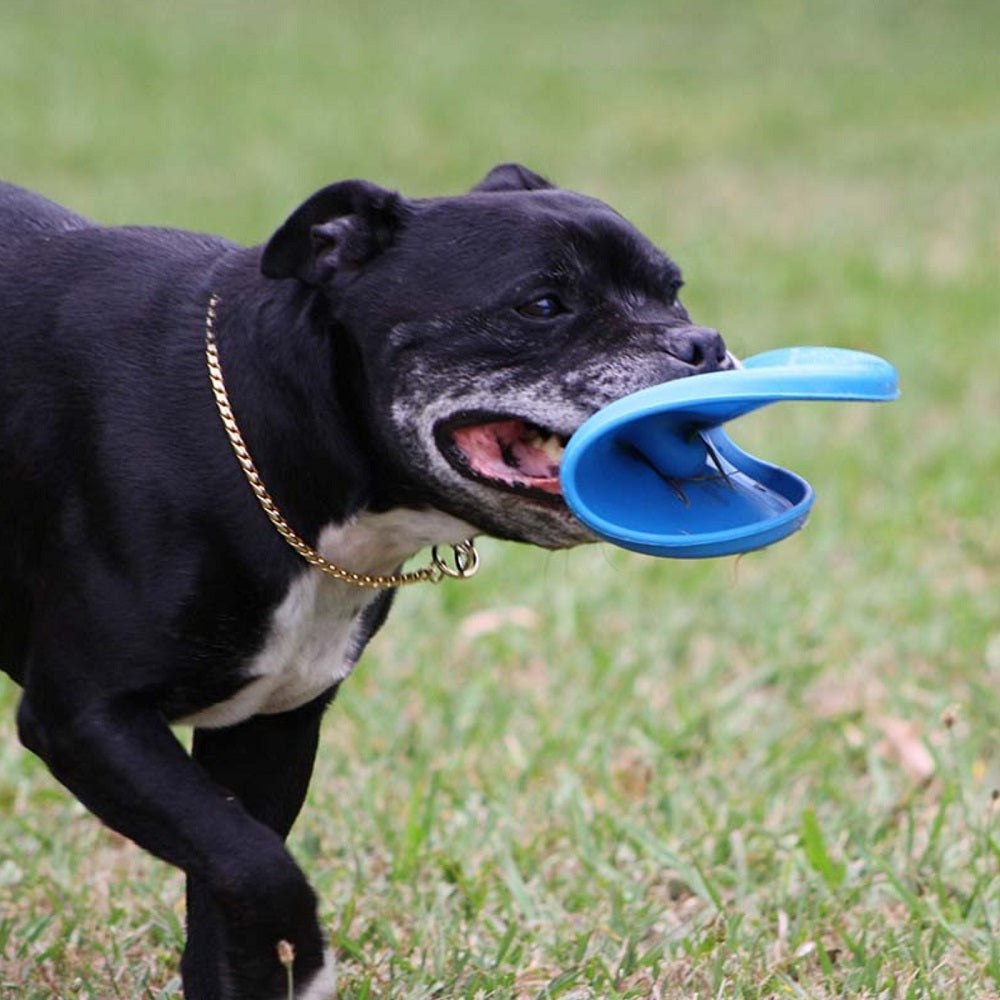 Aussie Dog "Fly…It"  (The Ultimate Frisbee for Dogs)