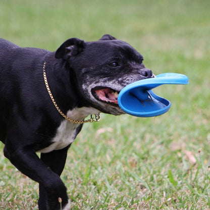Aussie Dog "Fly…It"  (The Ultimate Frisbee for Dogs)
