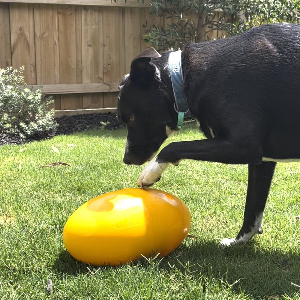Aussie Dog Footy Feeder