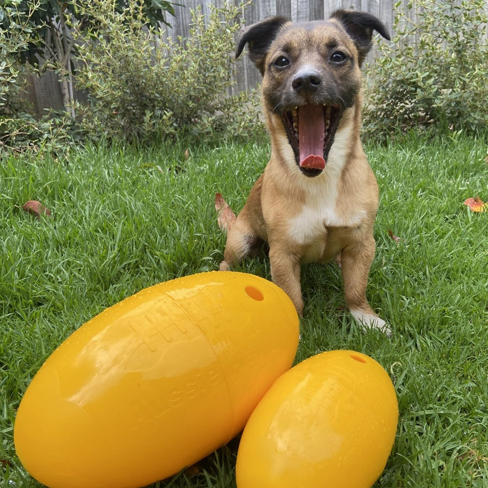 Aussie Dog Footy Feeder