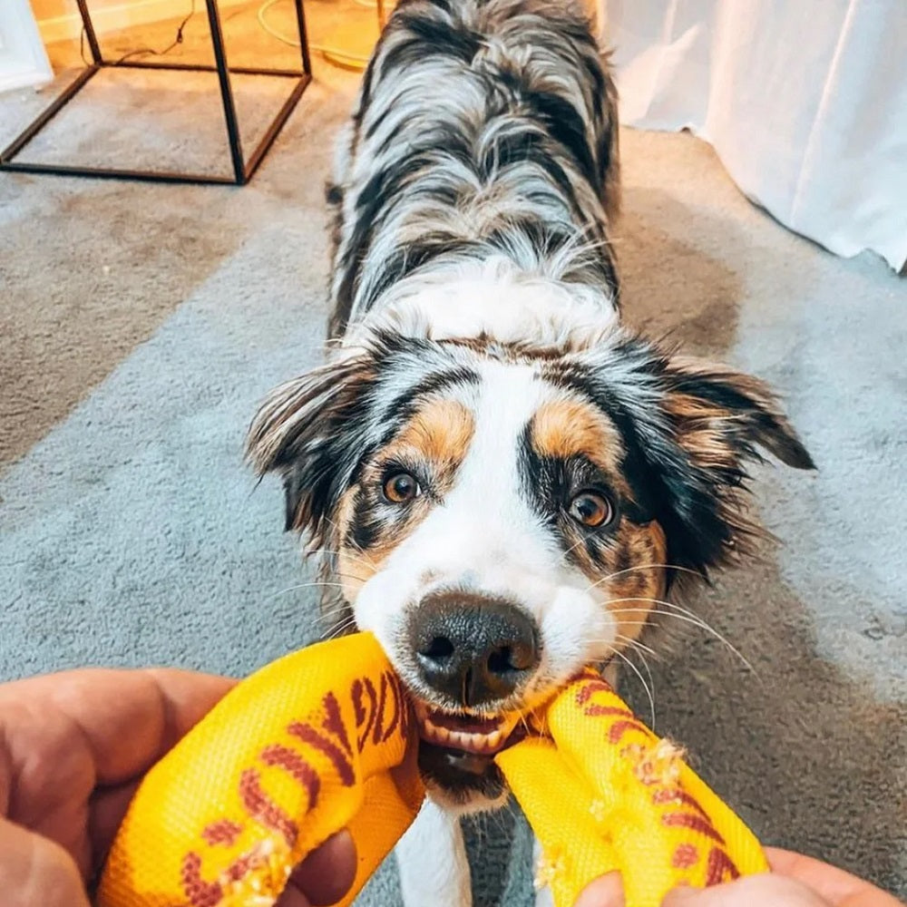 Aussie Dog "Pull…It"