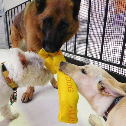 Aussie Dog "Pull…It"