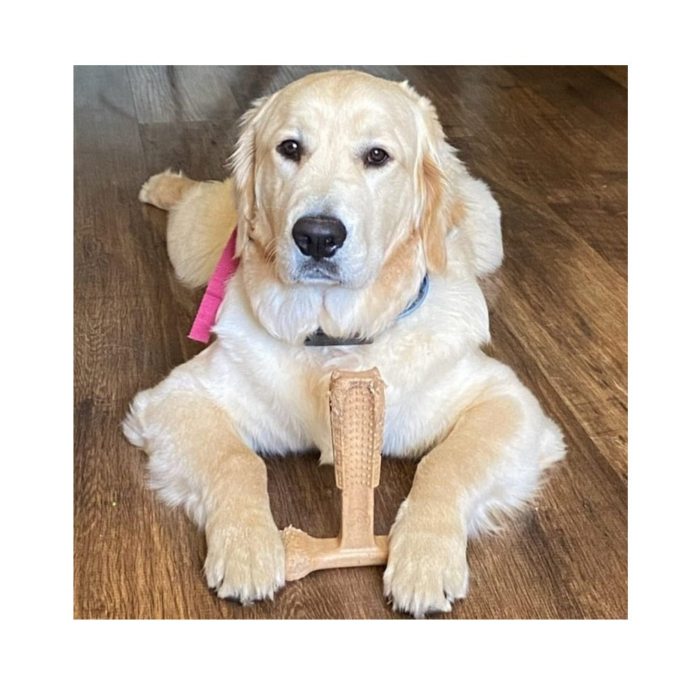 Bambone Plus