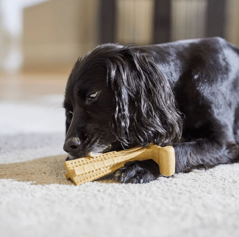 Bambone Plus