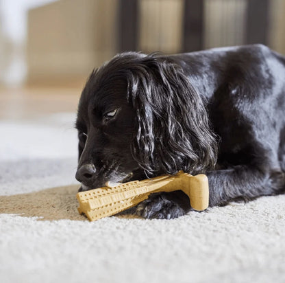 Bambone Plus