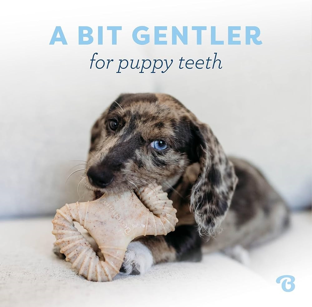 Benebone Puppy 2 Pack – Bacon