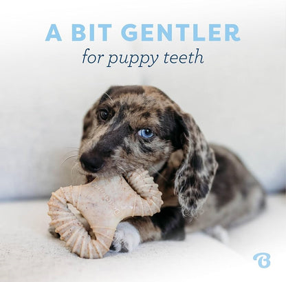 Benebone Puppy 2 Pack – Bacon