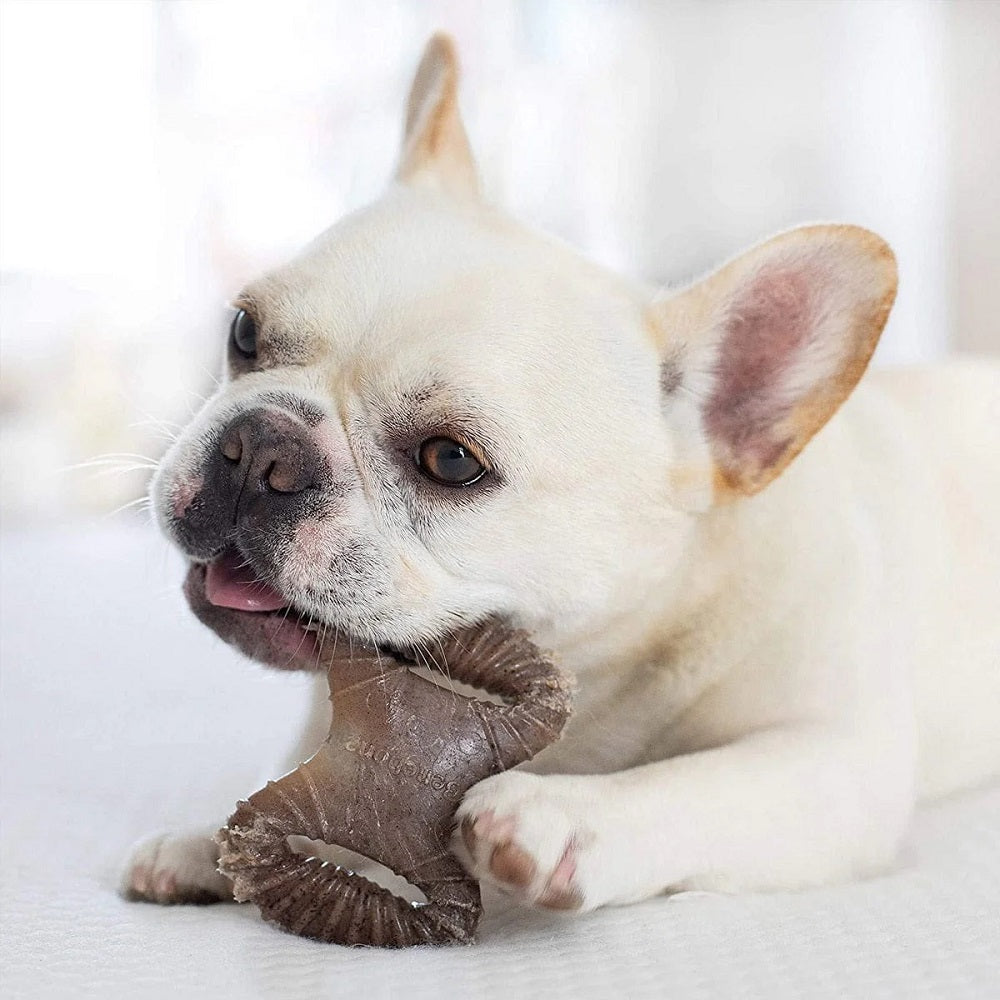 Benebone Puppy 2 Pack – Bacon