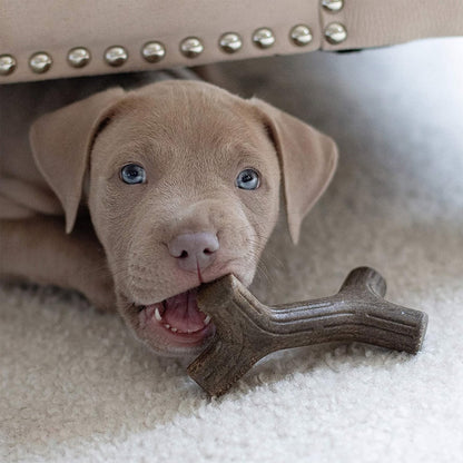 Puppy 2 Pack - Maple and Bacon from Benebone