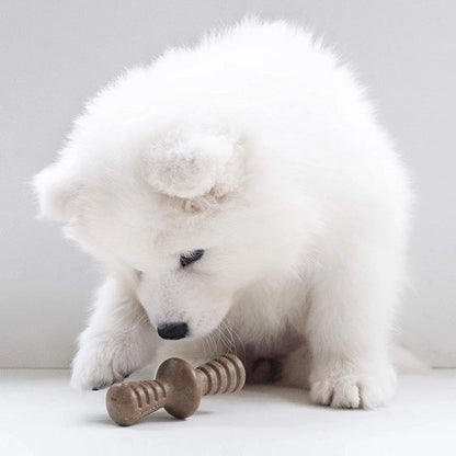 Puppy 2 Pack - Maple and Bacon from Benebone