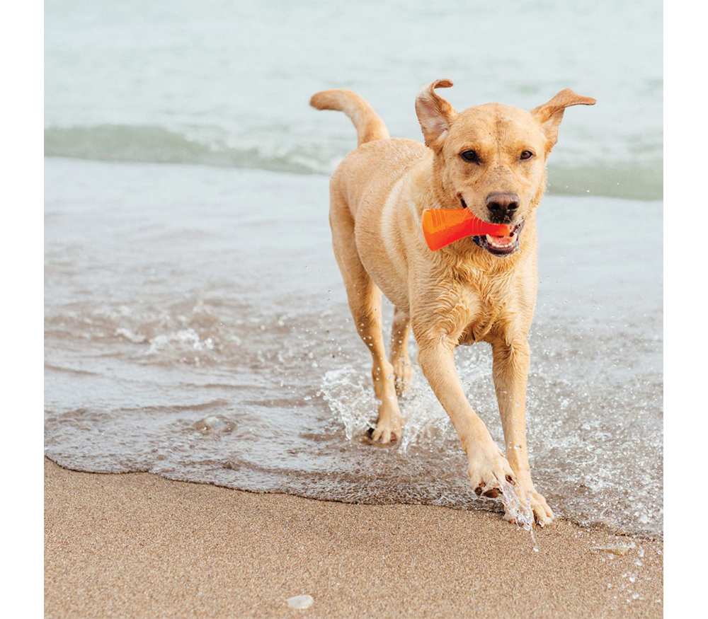 BIONIC BONE – Durable Dog Toy for Power Chewers