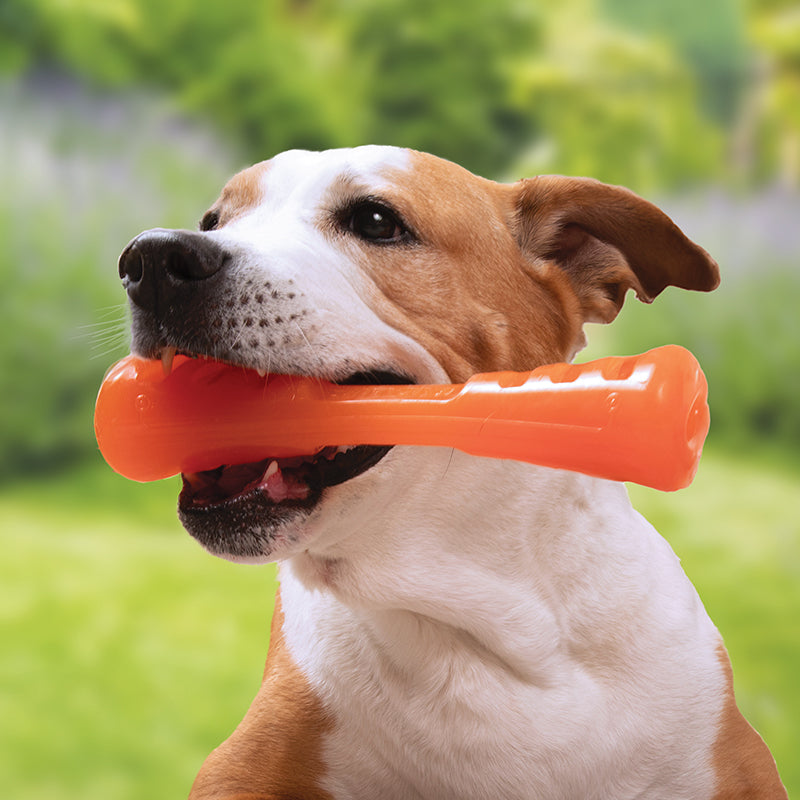 URBAN STICK – Durable Dog Toy for Power Chewers
