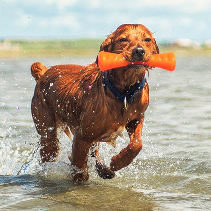 URBAN STICK – Durable Dog Toy for Power Chewers