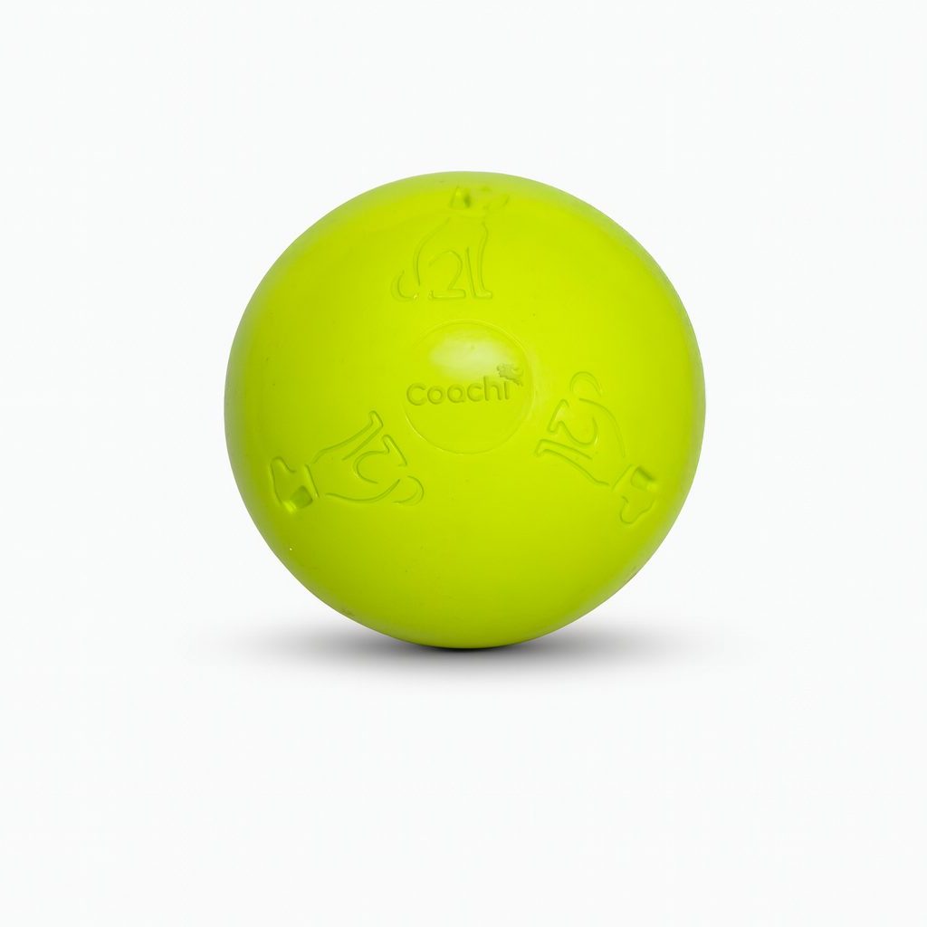 Boomer Ball (Now Coachi Boomi Ball)) – The Ultimate Tough Toy
