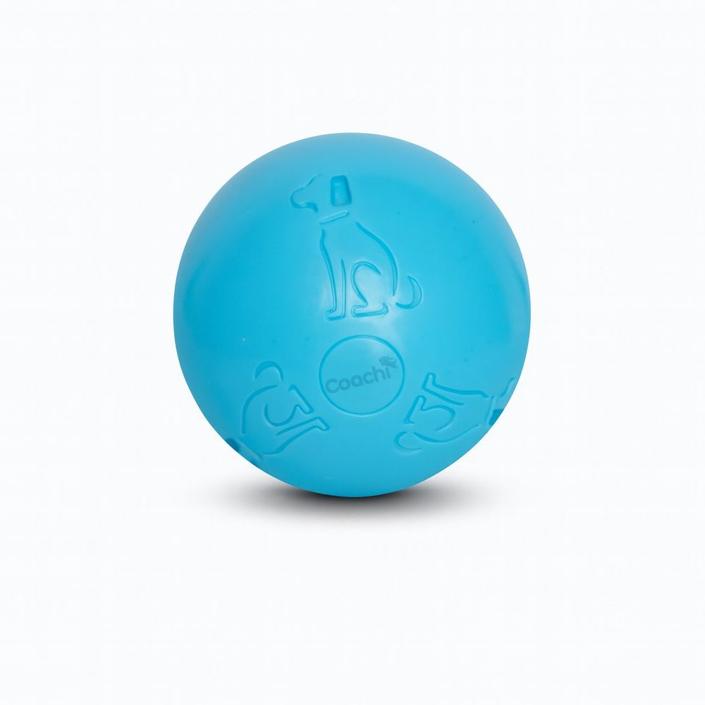 Boomer Ball (Now Coachi Boomi Ball)) – The Ultimate Tough Toy