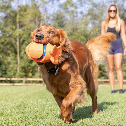 Chuckit! Kickoff Dog Toy