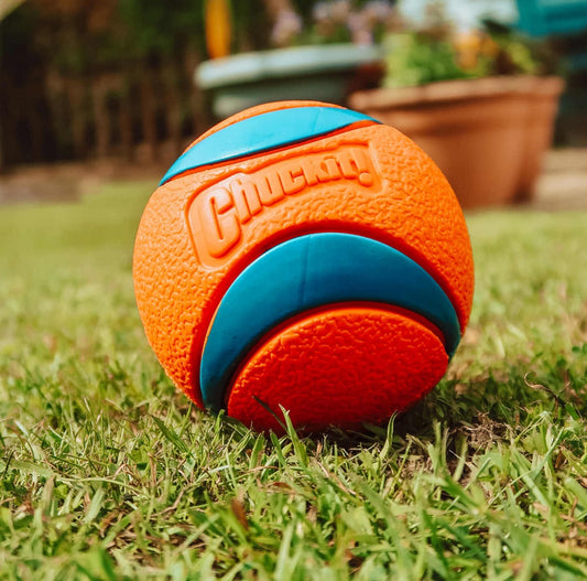 Chuckit! Ultra Ball