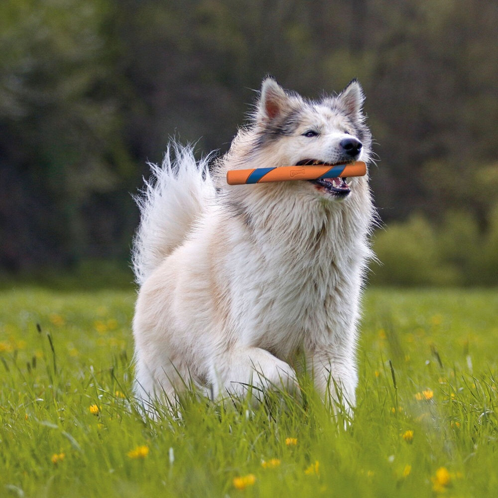 Chuckit! Ultra Stick
