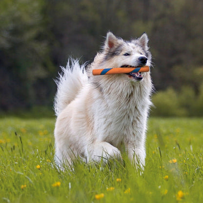 Chuckit! Ultra Stick