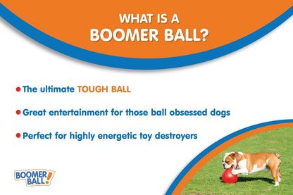 Boomer Ball – The ultimate tough toy