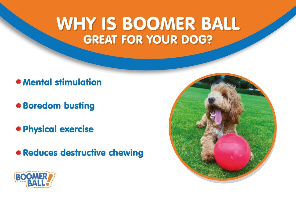 Boomer Ball – The ultimate tough toy