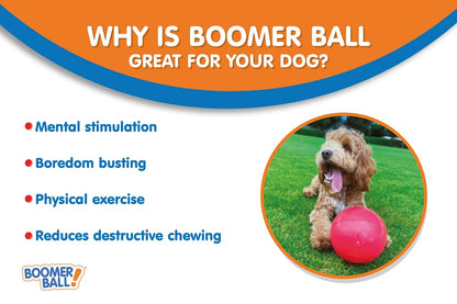 Boomer Ball – The ultimate tough toy