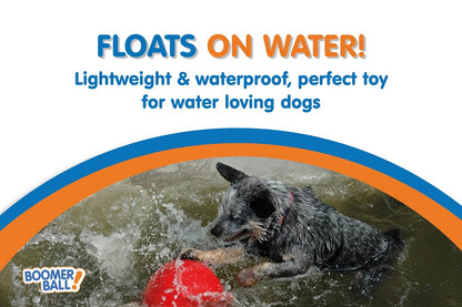 Boomer Ball – The ultimate tough toy