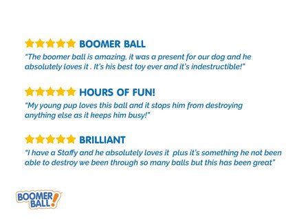 Boomer Ball – The ultimate tough toy