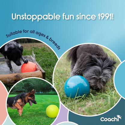 Boomer Ball (Now Coachi Boomi Ball)) – The Ultimate Tough Toy