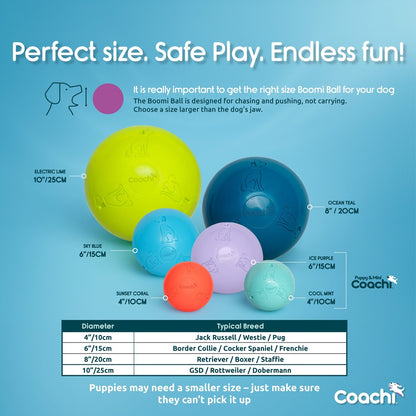 Boomer Ball (Now Coachi Boomi Ball)) – The Ultimate Tough Toy