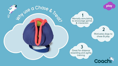 Coachi - Chase and Treat