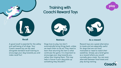 Coachi - Chase and Treat