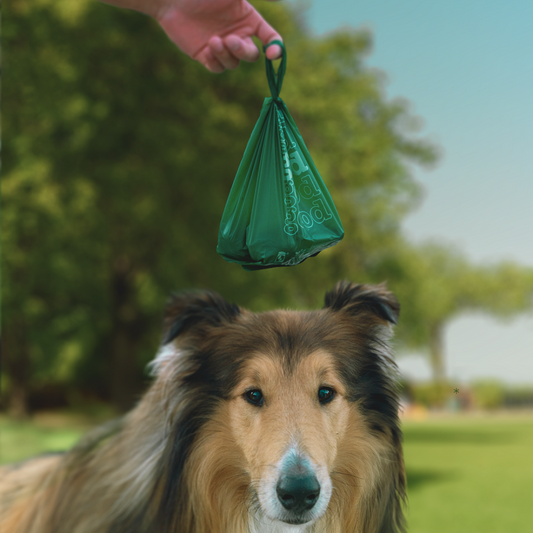 Compostable Poo Bags