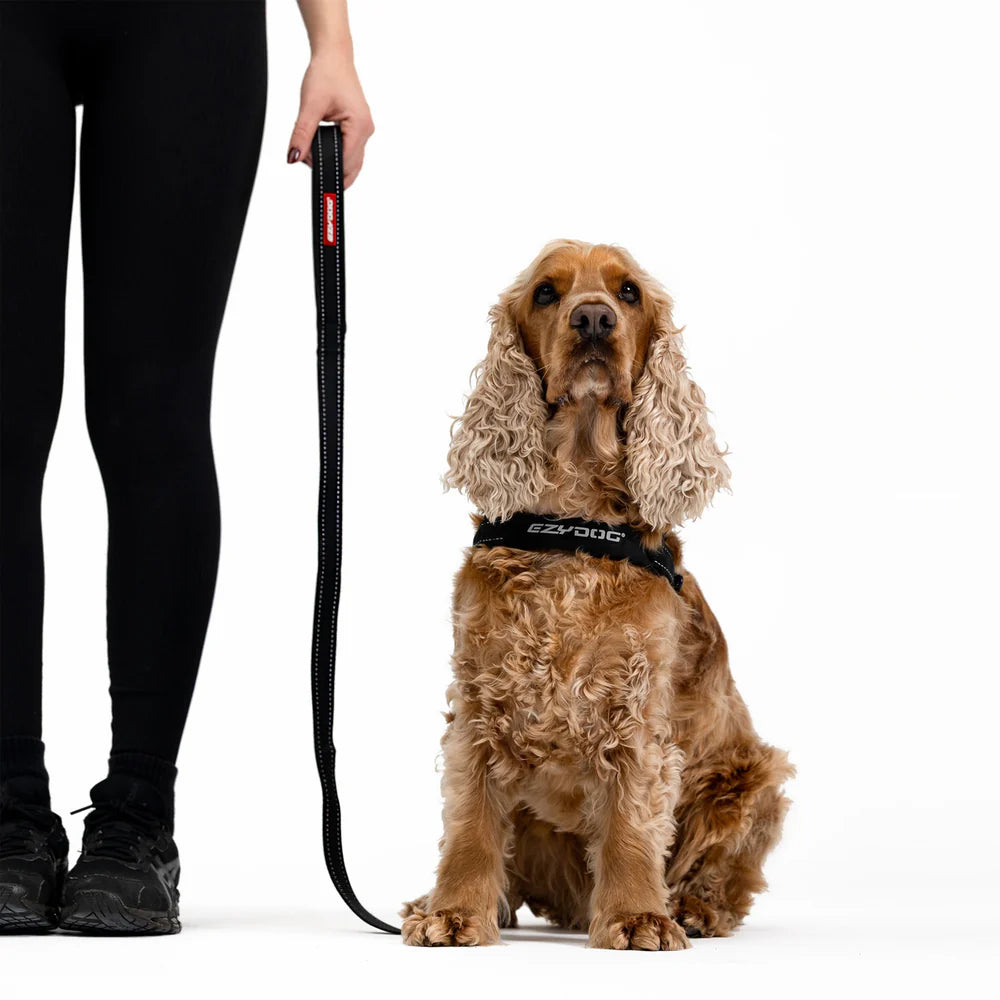 EzyDog Essential Leash (120cm)