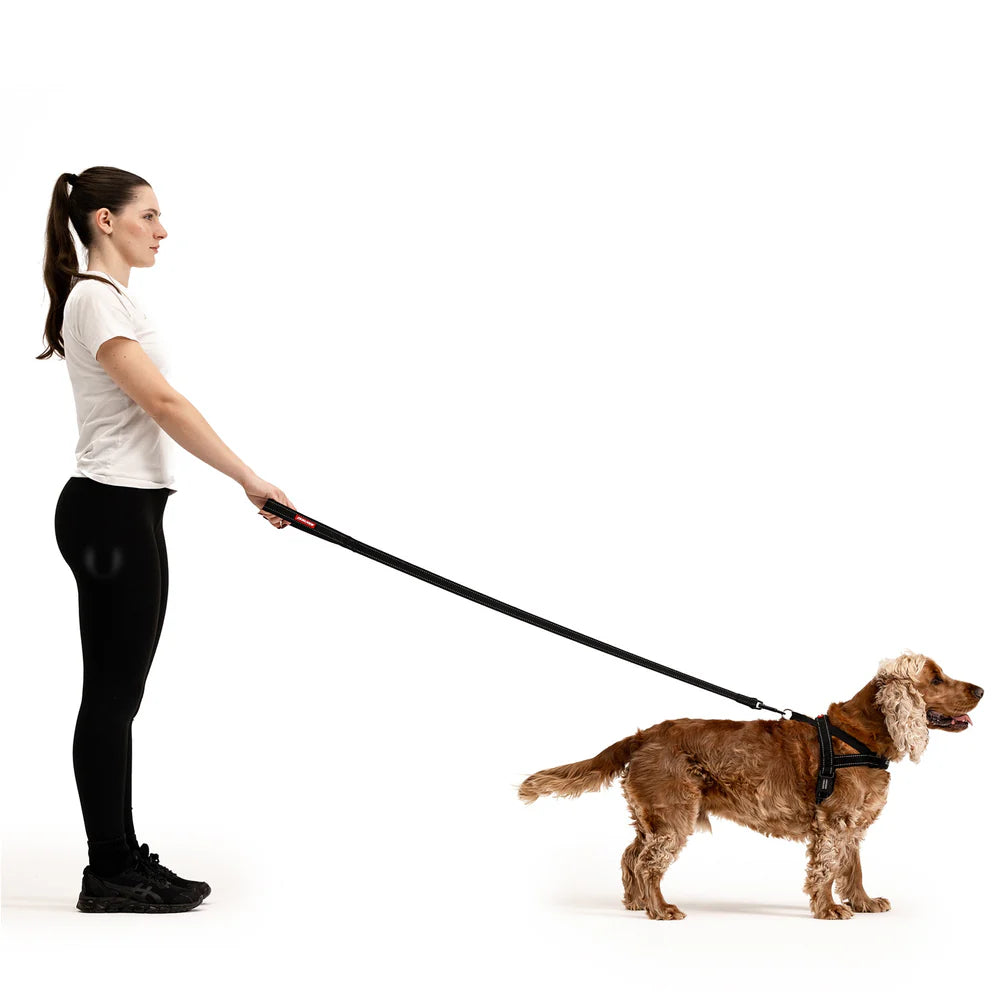 EzyDog Essential Leash (120cm)